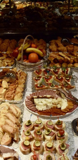 vsj batocina 2024 16