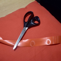 vsj batocina 2024 20